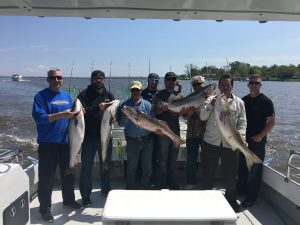 Chesapeake Bay Charter Sportfishing